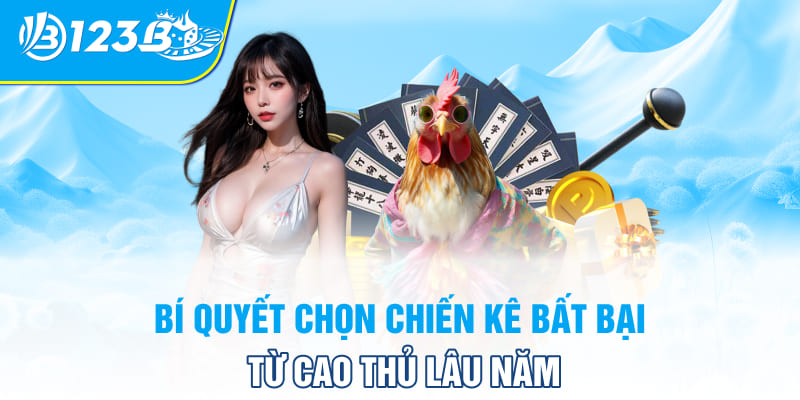 Bí quyết chọn chiến kê bất bại từ cao thủ lâu năm