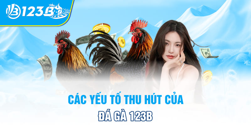 Các yếu tố thu hút của đá gà 123B