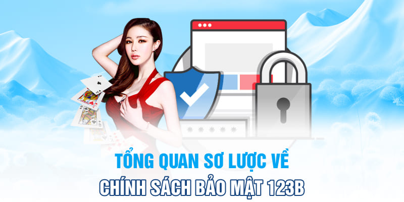 Tổng quan về chính sách bảo mật 123B